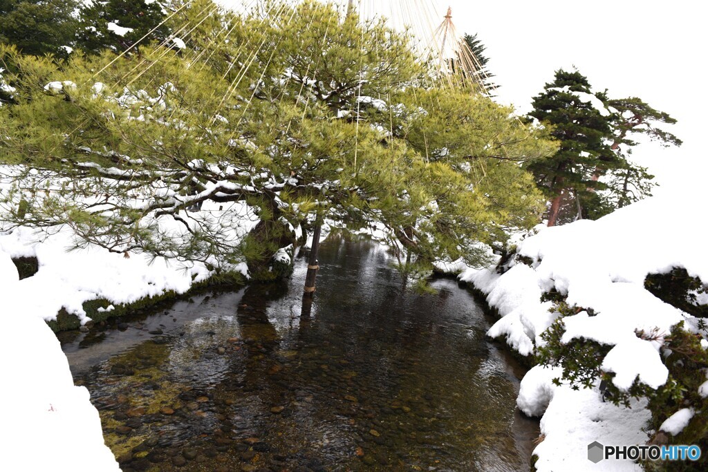兼六園　⑦