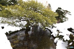 兼六園　⑦