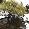 兼六園　⑦