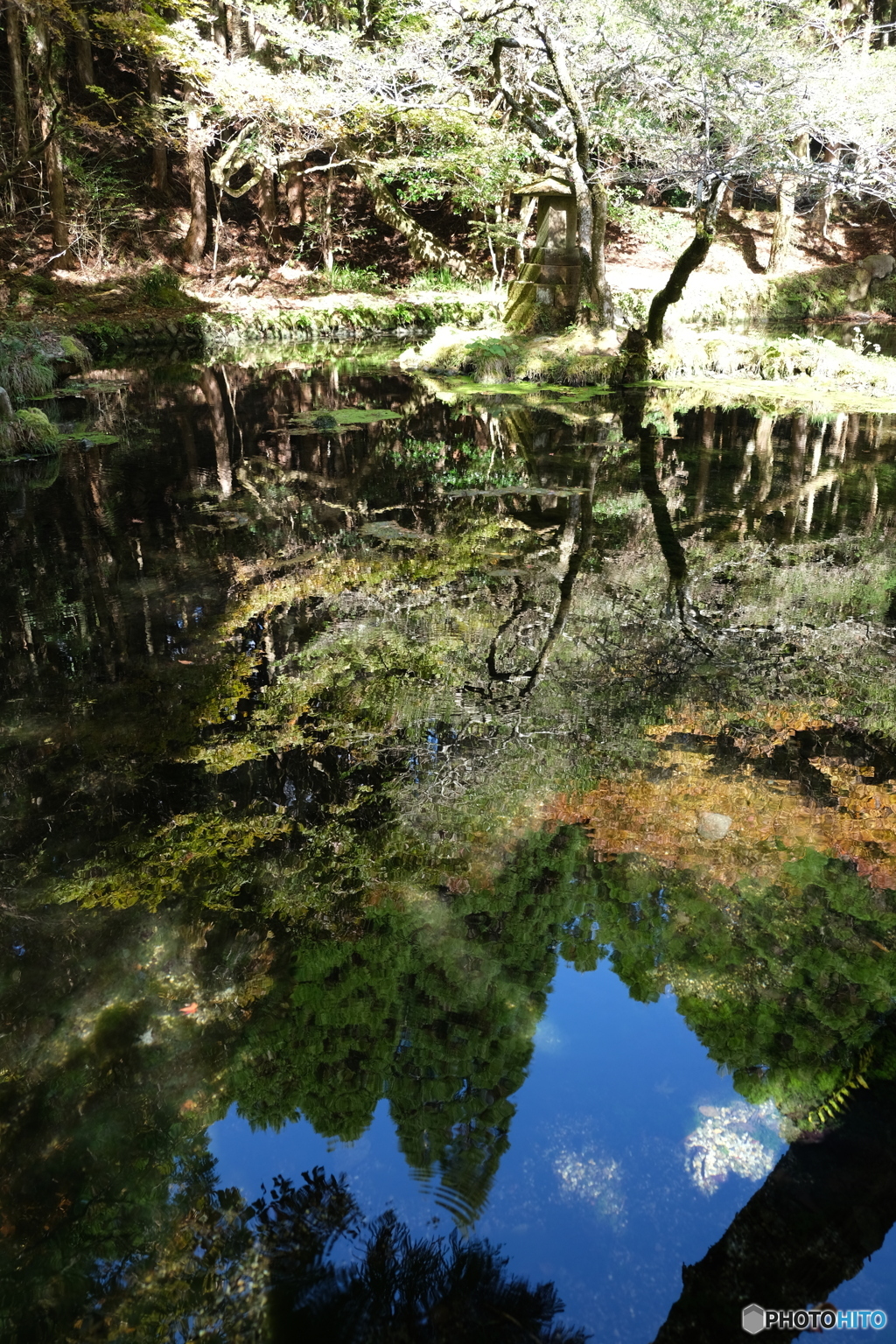 山吹水源⑨