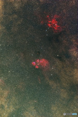 出目金、彼岸花星雲
