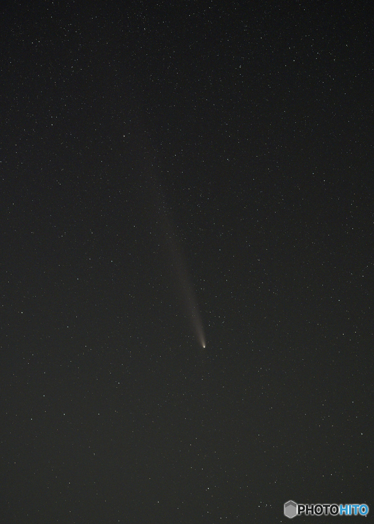紫金山・アトラス彗星　ラスト