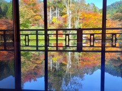 秋真っ盛り　その2　環境芸術の森