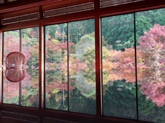 秋真っ盛り　環境芸術の森