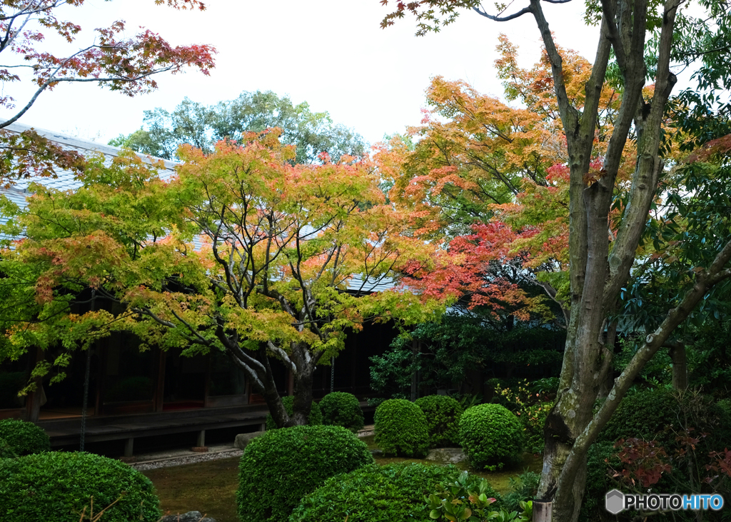 大濠公園界隈　その3