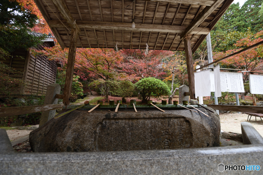 仁比山神社の秋⑦