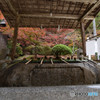 仁比山神社の秋⑦
