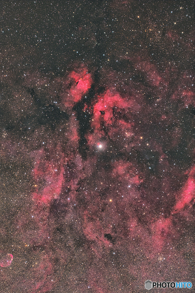 バタフライ星雲