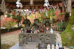 仁比山神社の秋⑩