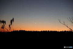 天体撮影遠征中