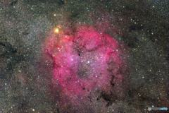 IC1396