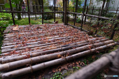 仁比山神社の秋⑤