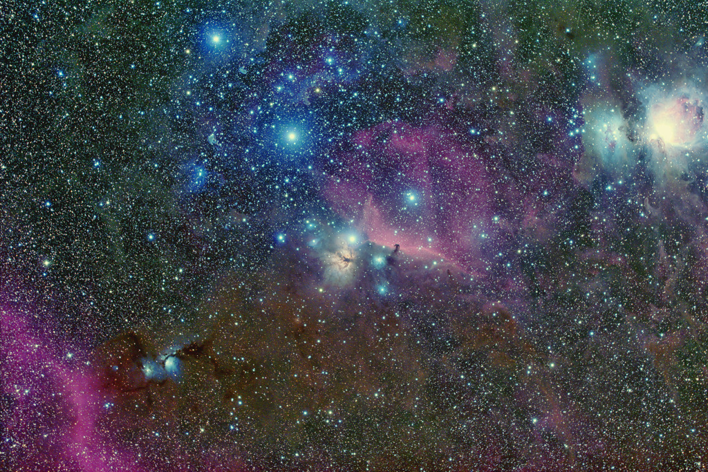 オリオン座　馬頭星雲近傍の分子雲　2022年