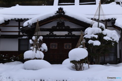 ひがし茶屋街　①