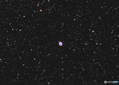 M57　こと座　環状星雲