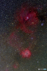 コーン星雲　バラ星雲