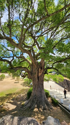 松江の旅③