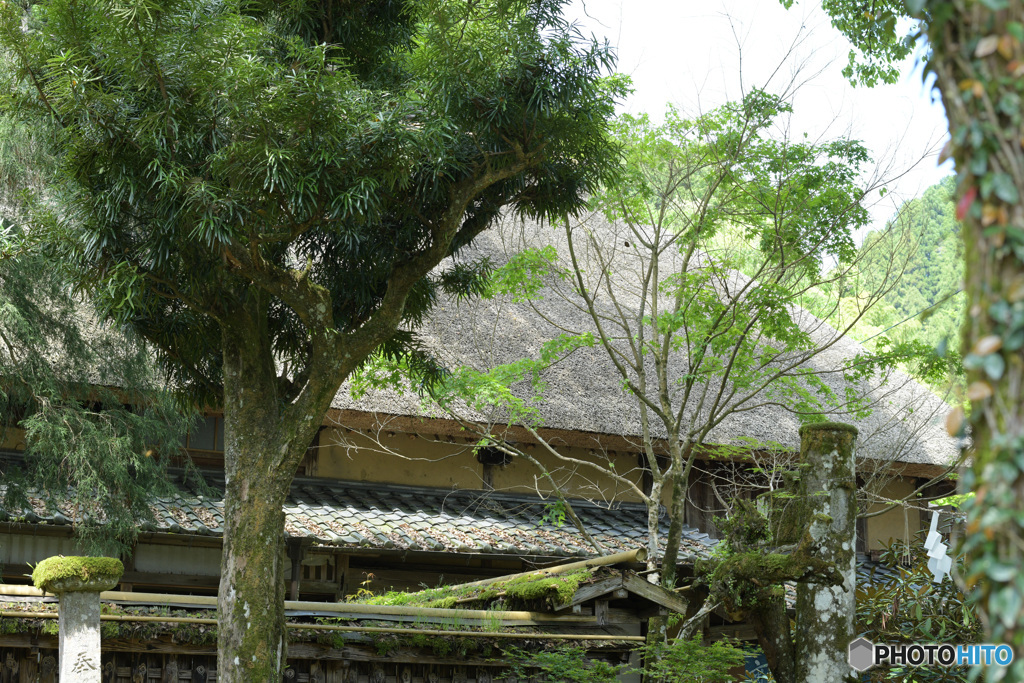 春の小石原