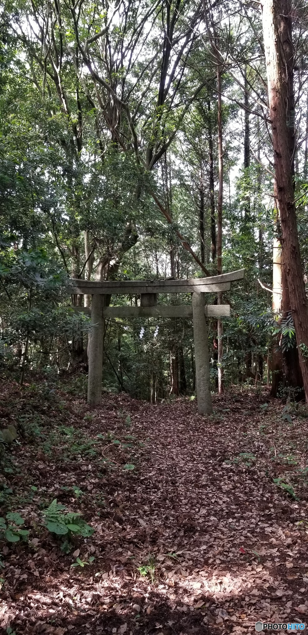 八剱神社　その5