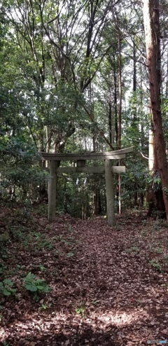 八剱神社　その5