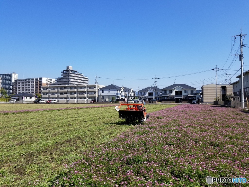 本日も晴天なり