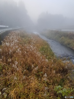 外気温が３℃