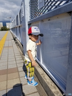 暑い中での電車見物