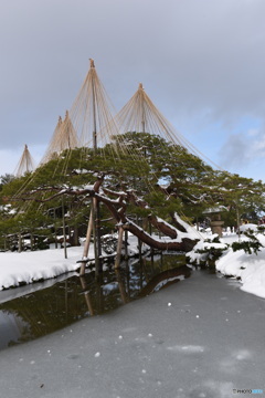 兼六園　①