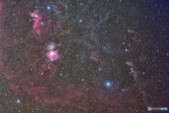 オリオン下半身の星雲たち　その1(再処理)