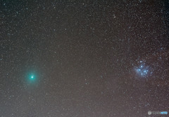 ウィルタネン周期彗星（4枚コンポジット）