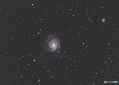 M101 おおぐま座　小宇宙