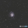 M101 おおぐま座　小宇宙