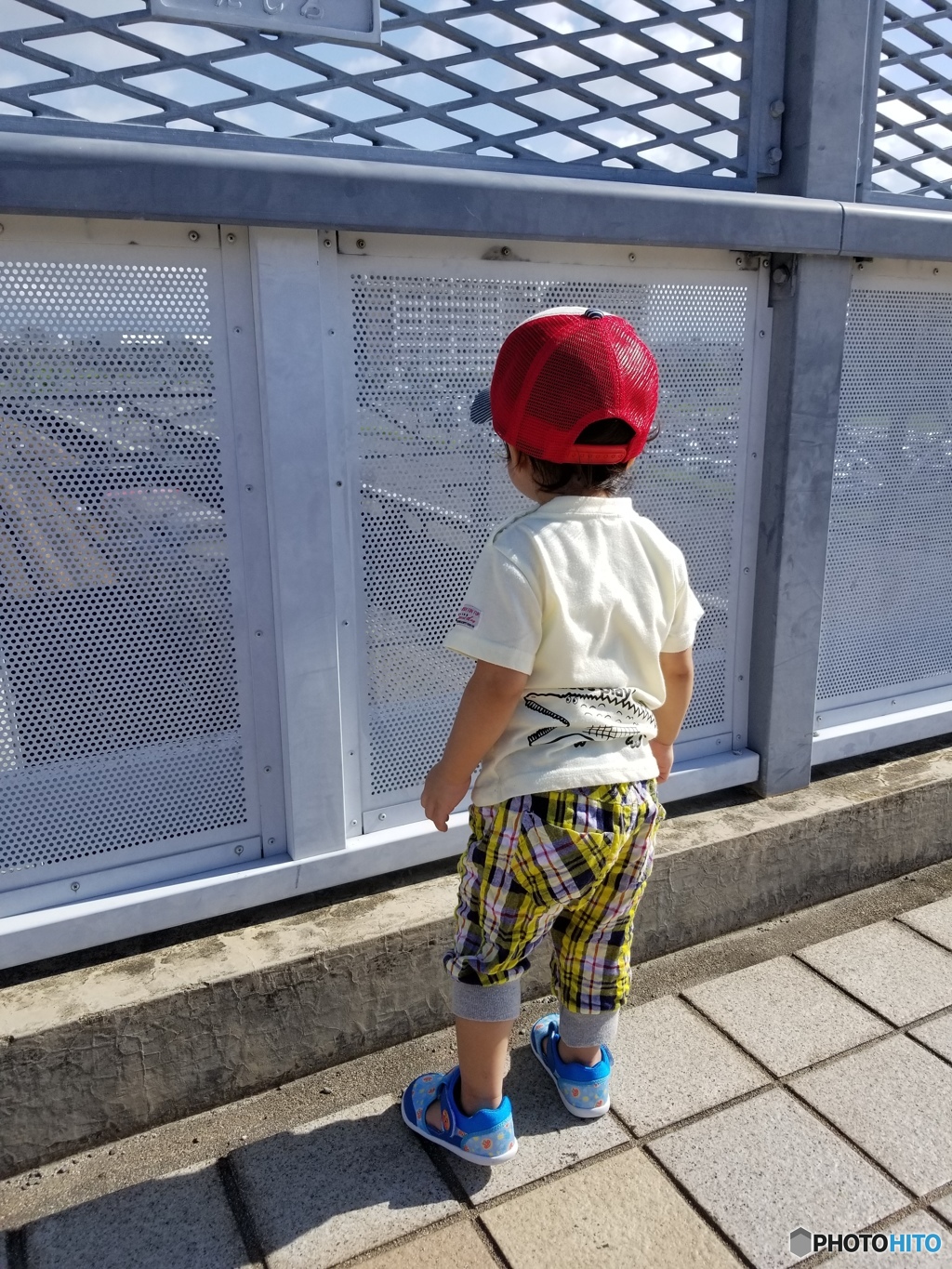 電車大好きな孫