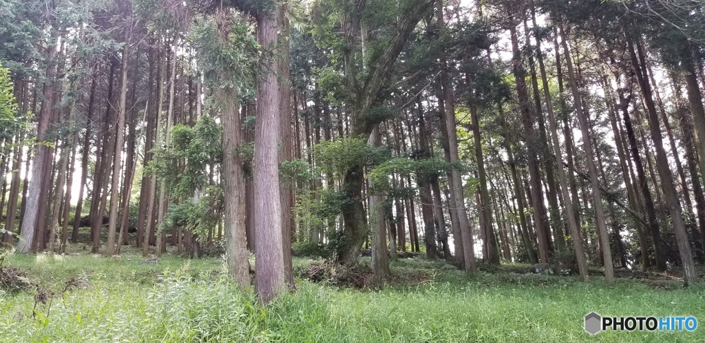 八剱神社　その6