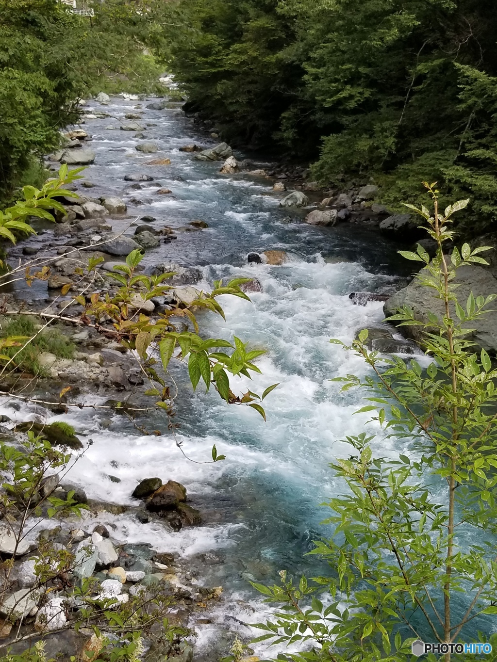 耳川源流域　尾前川