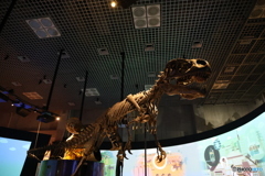 撮って出し　国立科学博物館　②