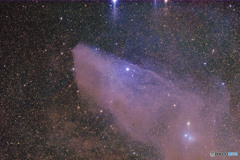 青い馬星雲　IC4592