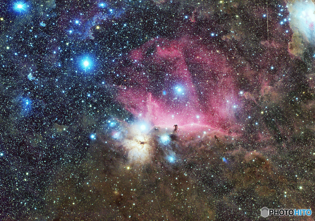 馬頭星雲周辺の分子雲　(2022年)