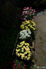 漁蓮坊窯　陶芸祭り　④