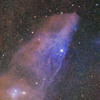 青い馬星雲