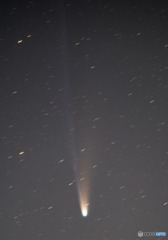 2025A6(レモン彗星)　メトカーフ法