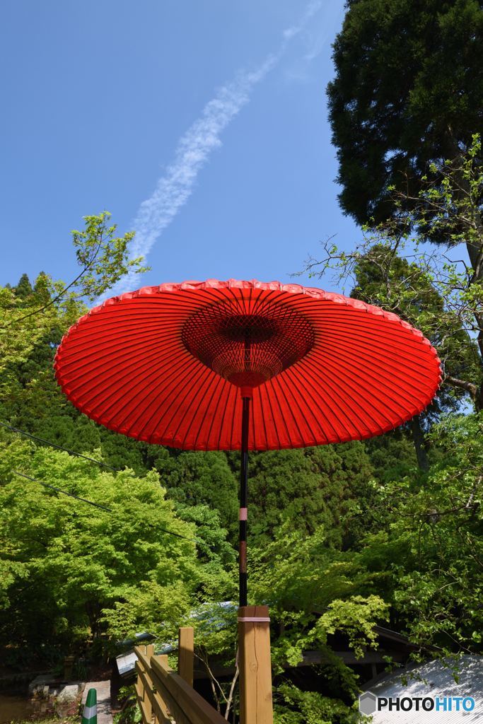 春の空