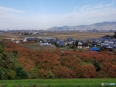 吉井町の道の駅