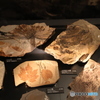 撮って出し　国際科学博物館　28
