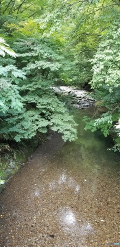 五ヶ瀬川の源流