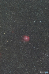 モンキー星雲（NGC2174）　2019年