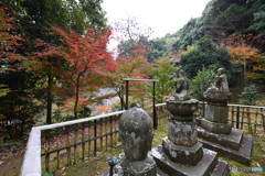 近場の紅葉⑤