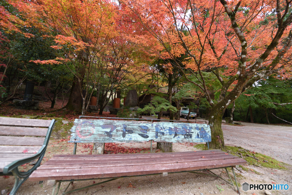 仁比山神社の秋⑧