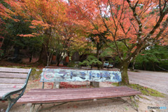 仁比山神社の秋⑧