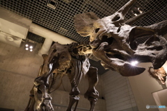 撮って出し　国際科学博物館　24